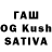 Конопля OG Kush Asyljan Muhambediev