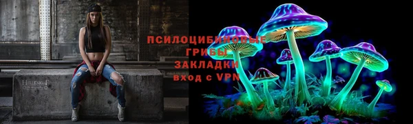 марки nbome Гусь-Хрустальный