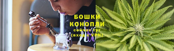 альфа пвп Гусев