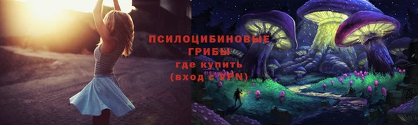 марки nbome Гусь-Хрустальный