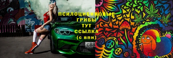 марки nbome Гусь-Хрустальный