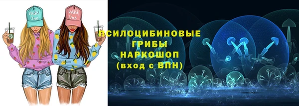 марки nbome Гусь-Хрустальный