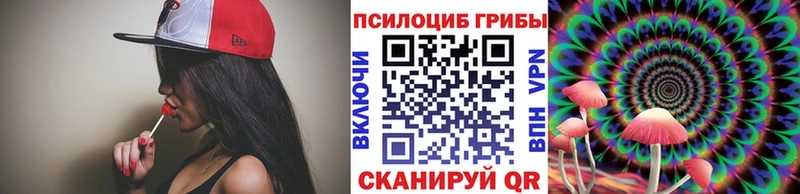 мега зеркало  Шумерля  Галлюциногенные грибы Psilocybine cubensis 
